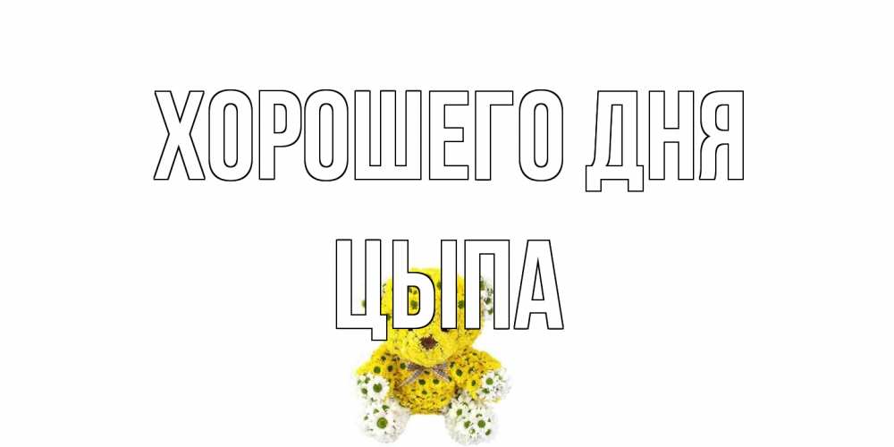 Открытка на каждый день с именем, Цыпа Хорошего дня позитивного настроения вам Прикольная открытка с пожеланием онлайн скачать бесплатно 
