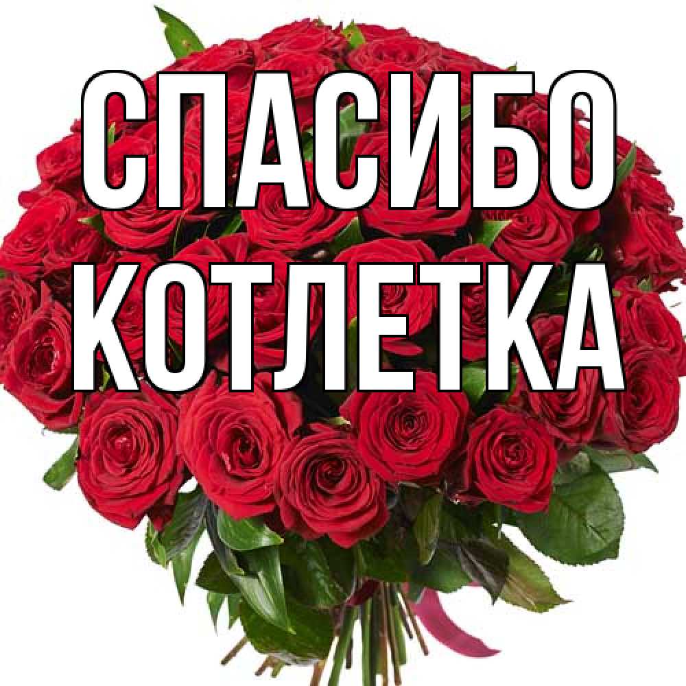 Открытка на каждый день с именем, Котлетка Спасибо букет красных роз Прикольная открытка с пожеланием онлайн скачать бесплатно 