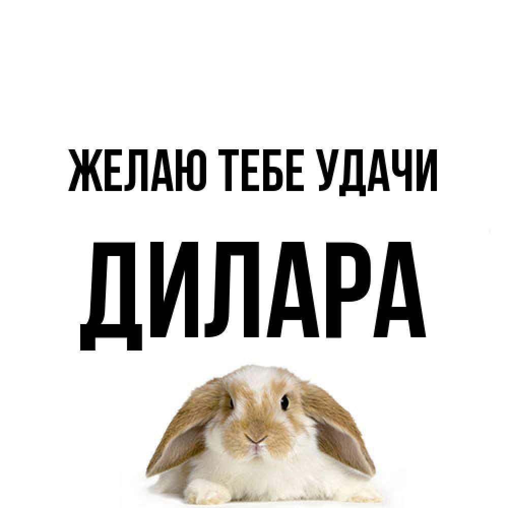 Открытка на каждый день с именем, Дилара Желаю тебе удачи открытки с произвольным текстом который можно вставить в открытку и создать ее самостоятельно бесплатно онлайн Прикольная открытка с пожеланием онлайн скачать бесплатно 