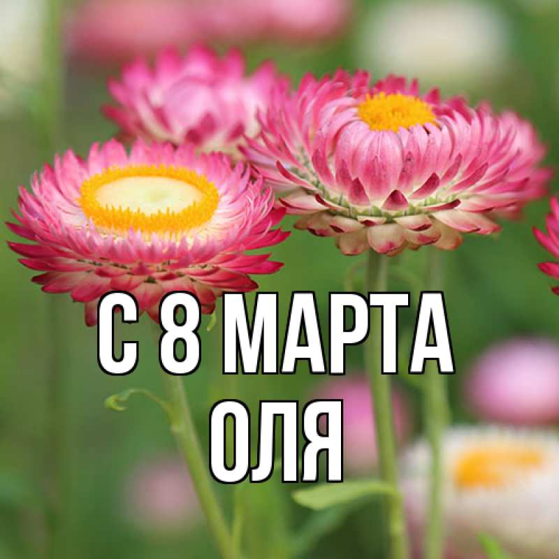 Картинка C 8 МАРТА, Оля
