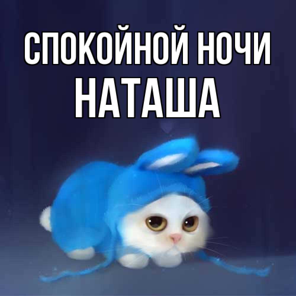 Открытка на каждый день с именем, Наташа Спокойной ночи кот в голубом костюме кролика с ушками Прикольная открытка с пожеланием онлайн скачать бесплатно 