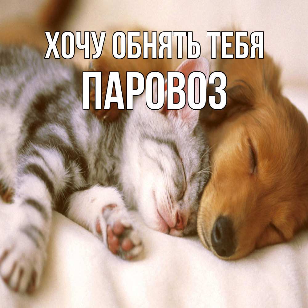 Открытка на каждый день с именем, Паровоз Хочу обнять тебя пес и котенок Прикольная открытка с пожеланием онлайн скачать бесплатно 