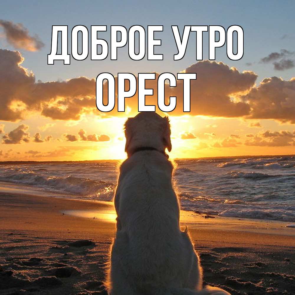 Открытка на каждый день с именем, Орест Доброе утро восход солнца Прикольная открытка с пожеланием онлайн скачать бесплатно 