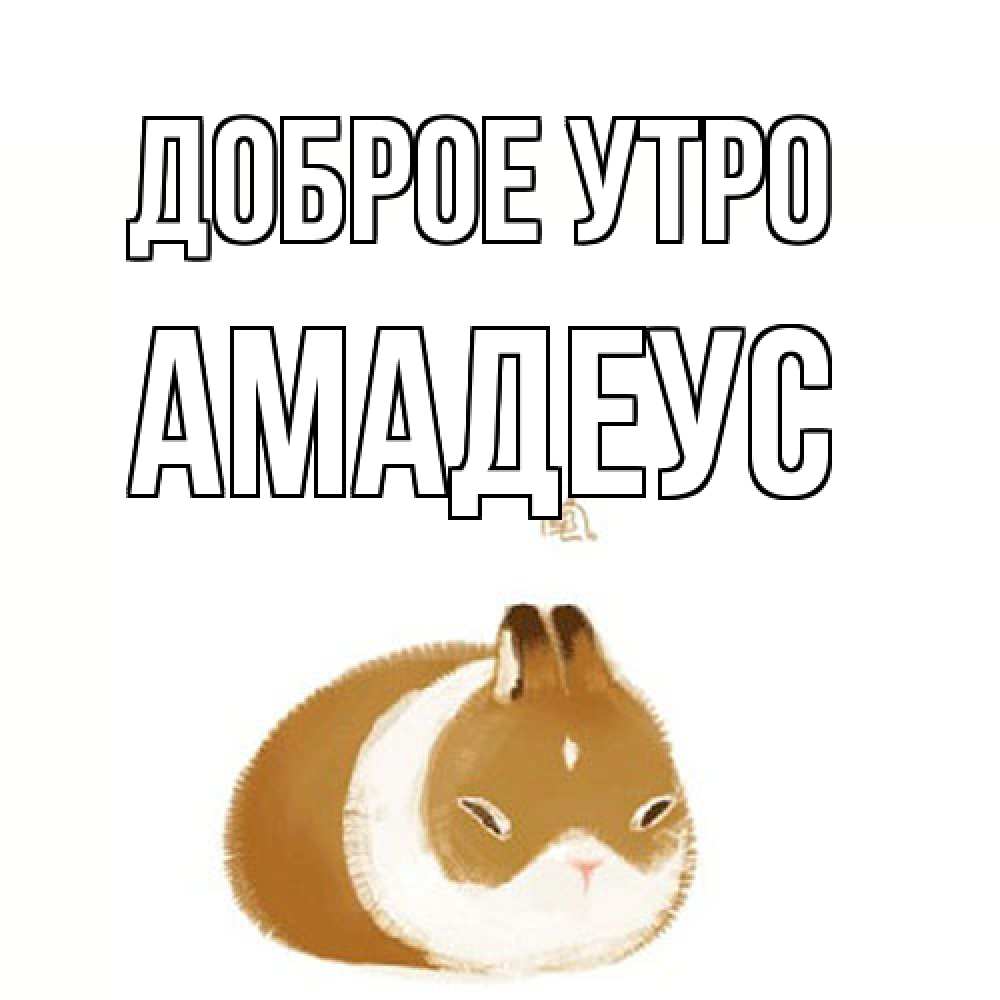 Открытка на каждый день с именем, Амадеус Доброе утро хорошего утречка Прикольная открытка с пожеланием онлайн скачать бесплатно 