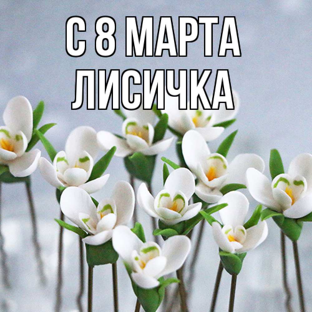 Открытка на каждый день с именем, Лисичка C 8 МАРТА весенние цветы Прикольная открытка с пожеланием онлайн скачать бесплатно 