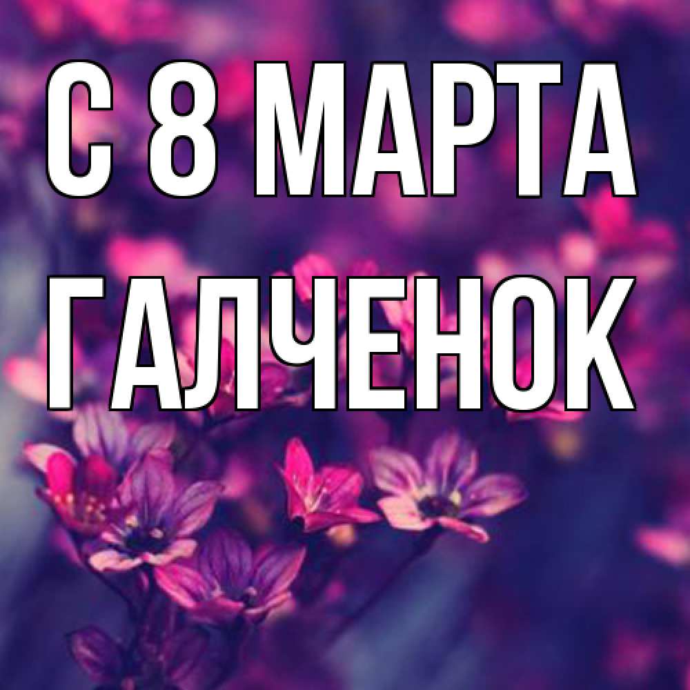 Открытка на каждый день с именем, Галченок C 8 МАРТА небольшие цветы 1 Прикольная открытка с пожеланием онлайн скачать бесплатно 
