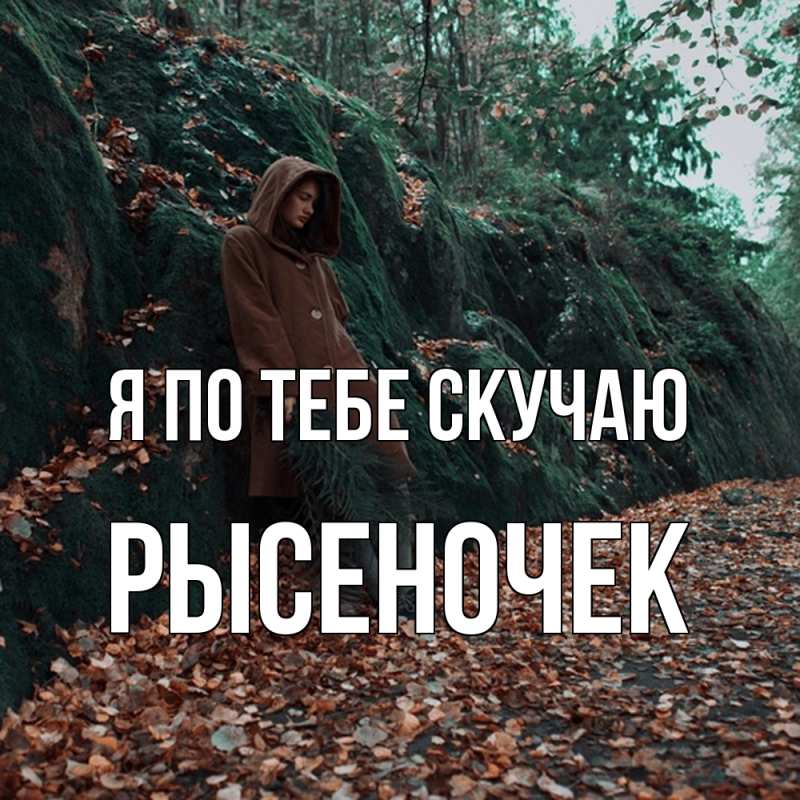 Картинка Я по тебе скучаю, Рысеночек