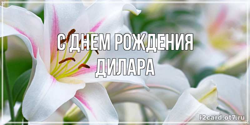Картинка С днем рождения, Дилара
