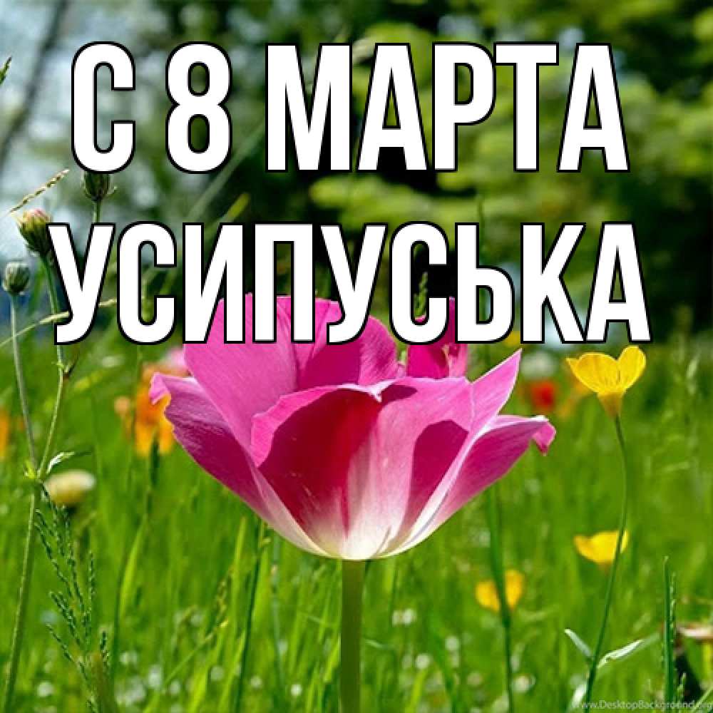 Открытка на каждый день с именем, усипуська C 8 МАРТА полевые цветы Прикольная открытка с пожеланием онлайн скачать бесплатно 
