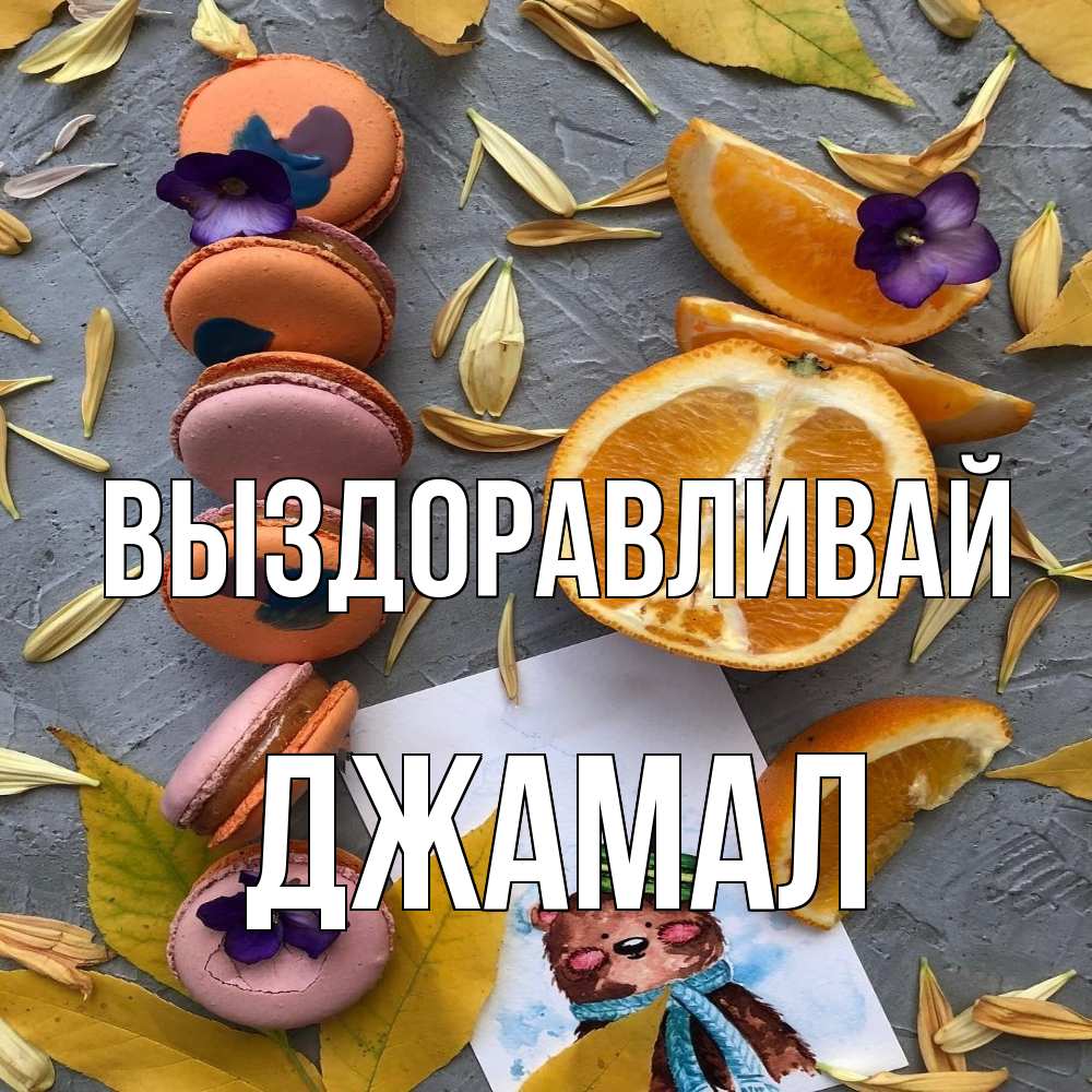 Открытка на каждый день с именем, Джамал Выздоравливай не болейте Прикольная открытка с пожеланием онлайн скачать бесплатно 