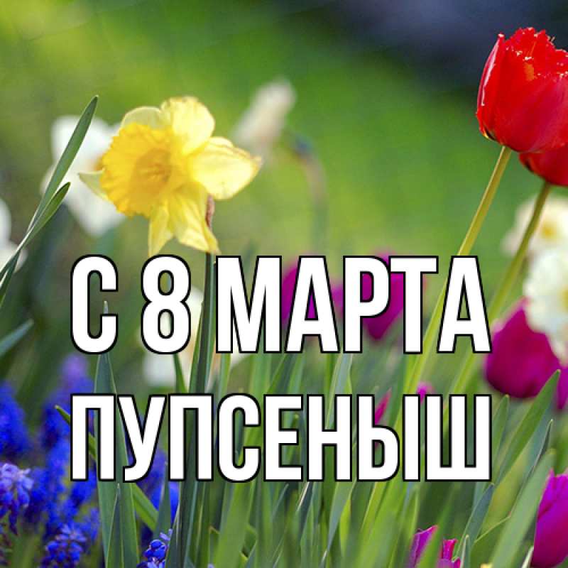 Картинка C 8 МАРТА, пупсеныш
