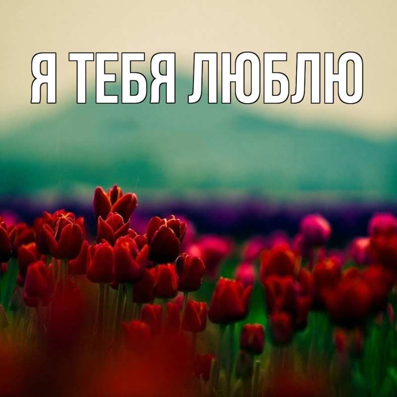 Картинка Я тебя люблю, 