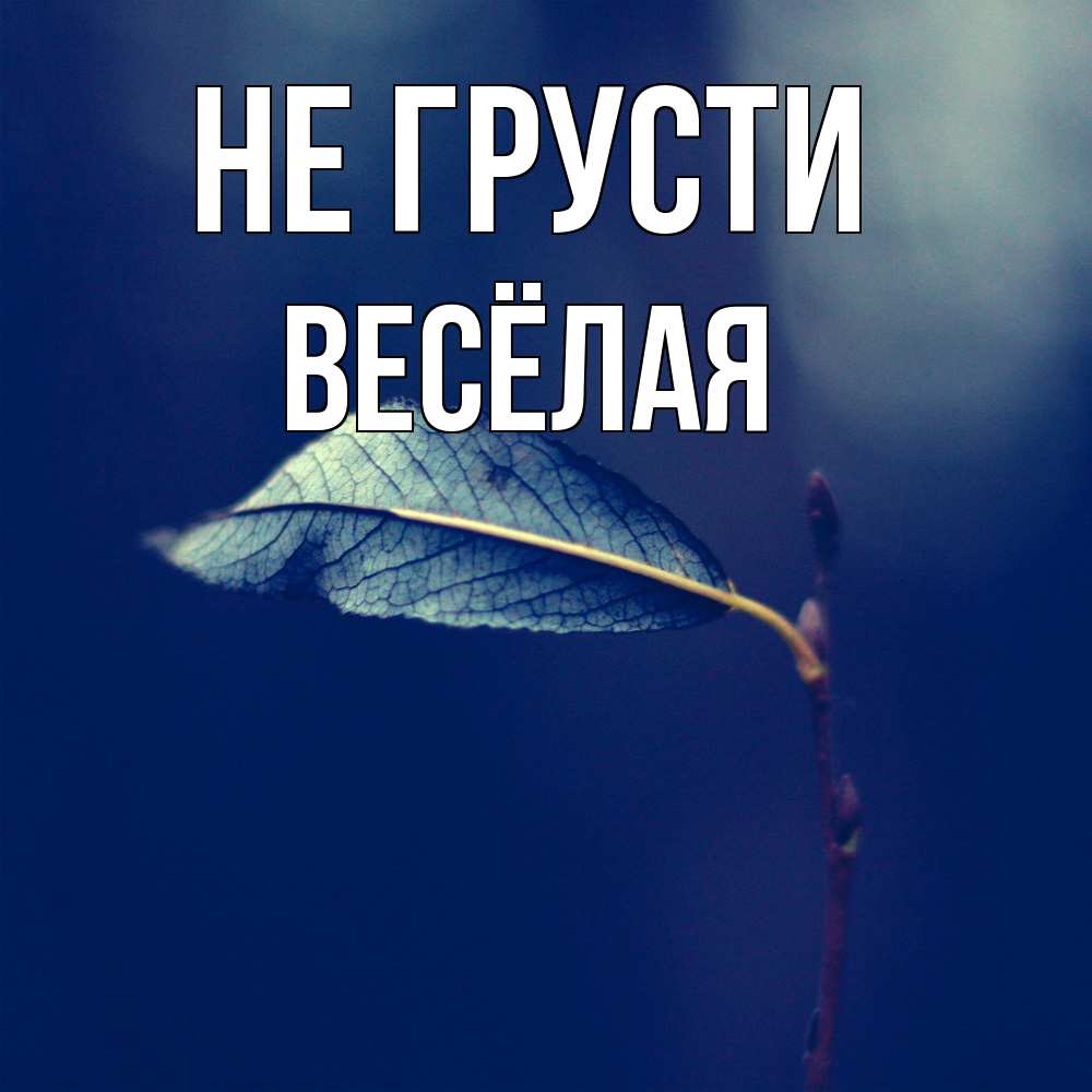 Открытка на каждый день с именем, Весёлая Не грусти растение Прикольная открытка с пожеланием онлайн скачать бесплатно 