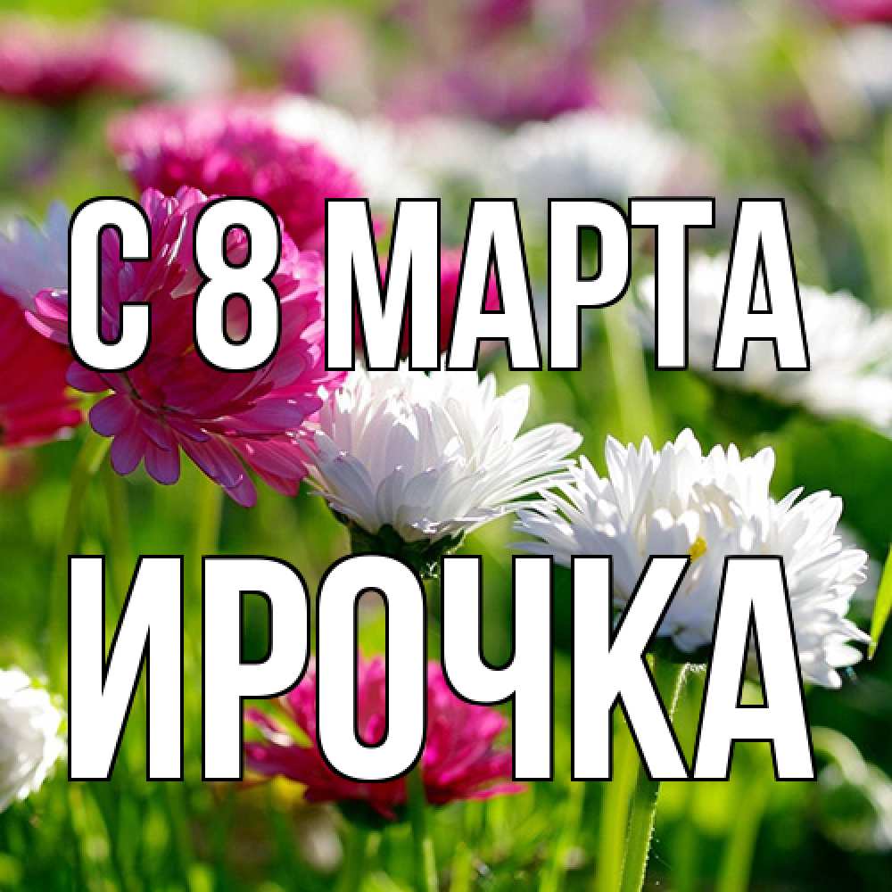 Открытка на каждый день с именем, Ирочка C 8 МАРТА международный женский день 1 Прикольная открытка с пожеланием онлайн скачать бесплатно 