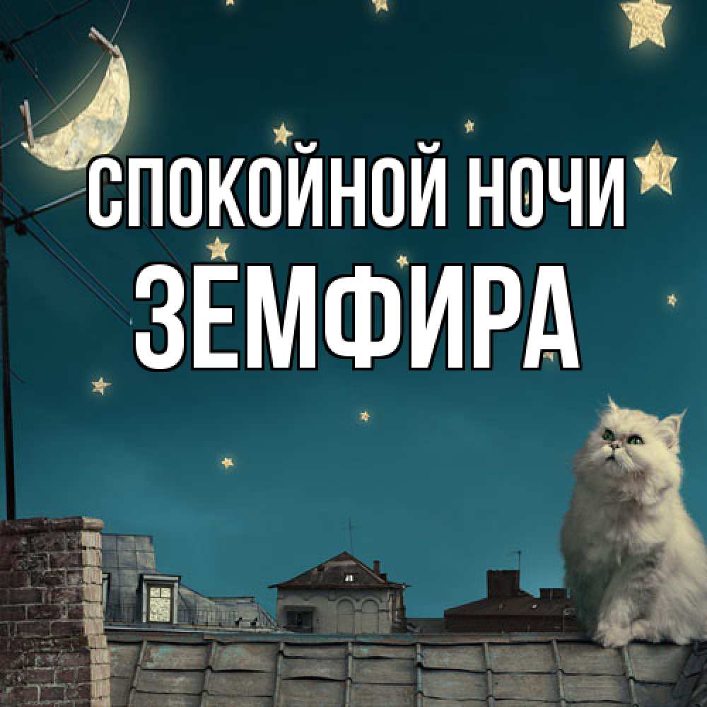 Открытка на каждый день с именем, Земфира Спокойной ночи белый кот сидит на крыше Прикольная открытка с пожеланием онлайн скачать бесплатно 