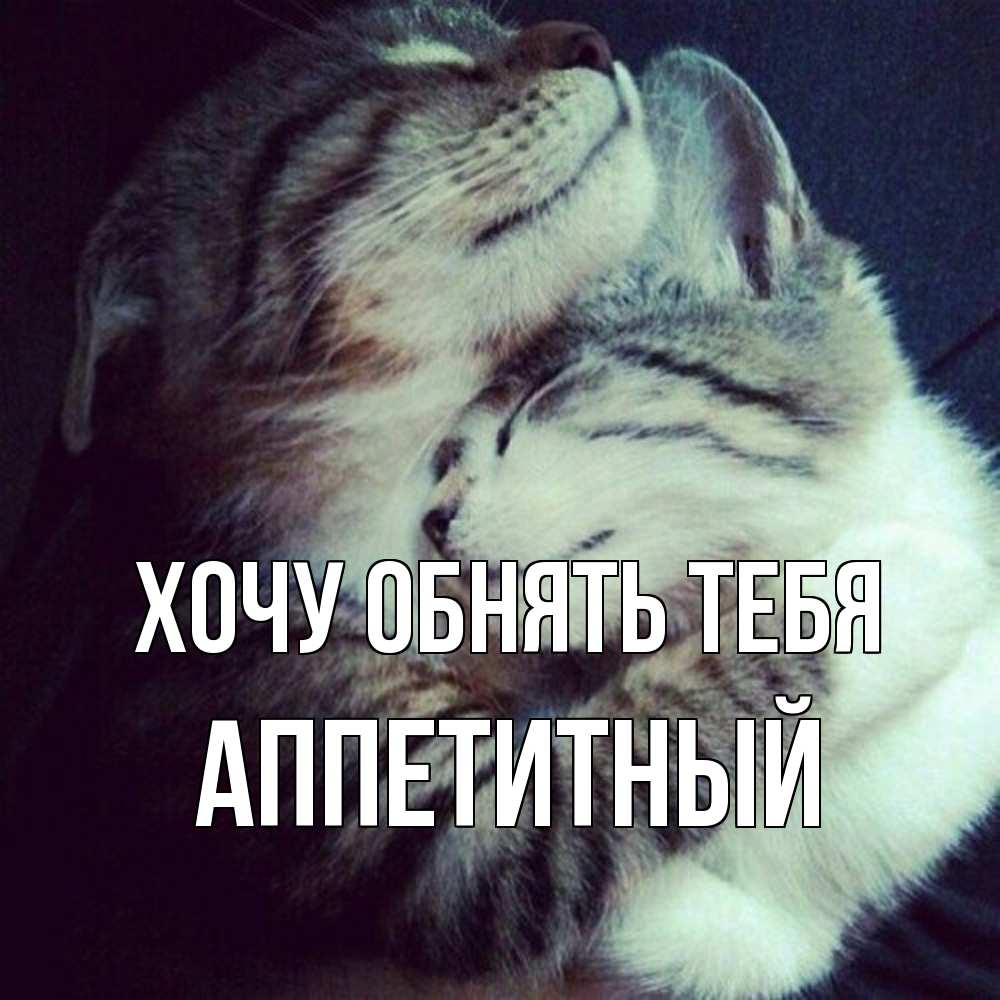 Открытка на каждый день с именем, Аппетитный Хочу обнять тебя полосатики Прикольная открытка с пожеланием онлайн скачать бесплатно 