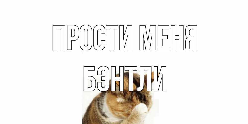 Открытка на каждый день с именем, Бэнтли Прости меня кот Прикольная открытка с пожеланием онлайн скачать бесплатно 