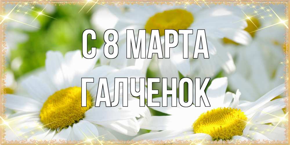 Открытка на каждый день с именем, Галченок C 8 МАРТА красивые открытки с белыми цветами на международный женский день Прикольная открытка с пожеланием онлайн скачать бесплатно 