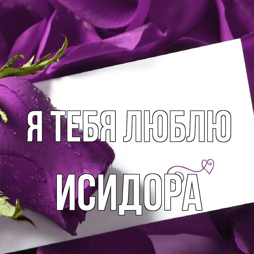 Открытка на каждый день с именем, Исидора Я тебя люблю роза Прикольная открытка с пожеланием онлайн скачать бесплатно 