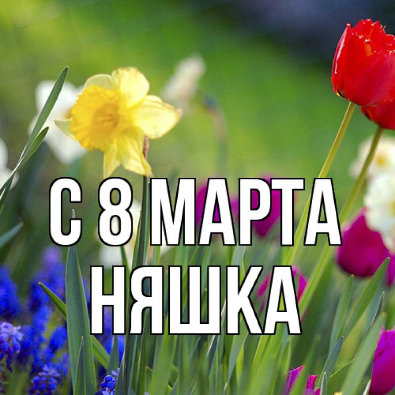 Открытка с именем, Няшка, C 8 МАРТА