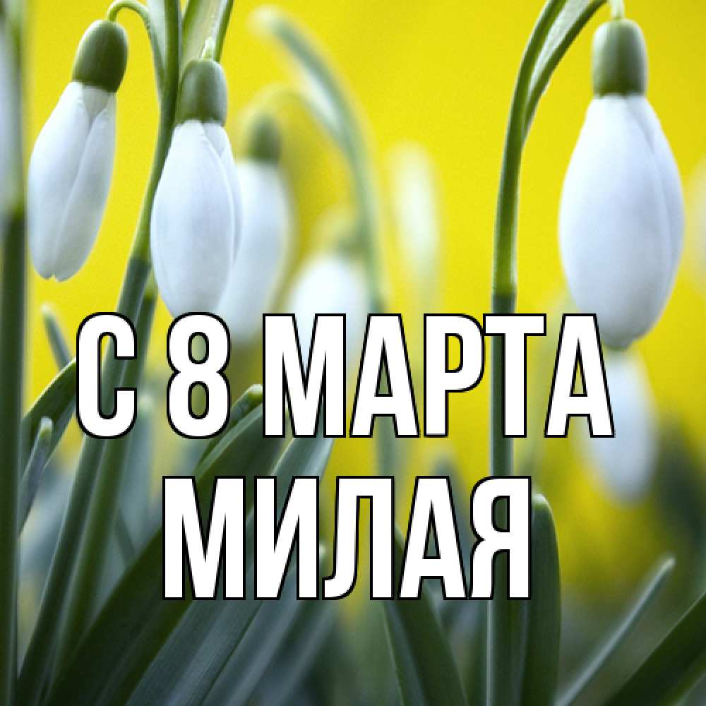 Открытка на каждый день с именем, Милая C 8 МАРТА весенние цветы Прикольная открытка с пожеланием онлайн скачать бесплатно 