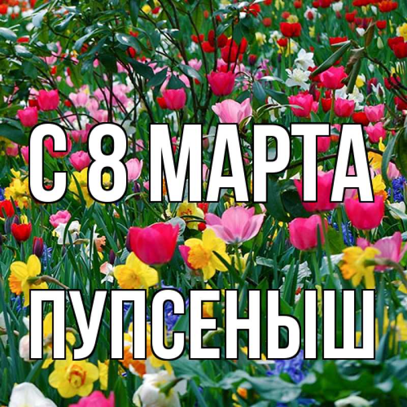 Картинка C 8 МАРТА, пупсеныш