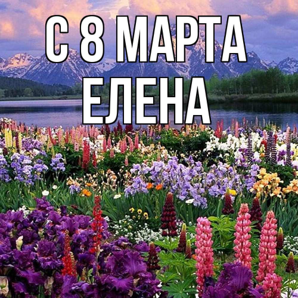 Открытка на каждый день с именем, Елена C 8 МАРТА международный женский день Прикольная открытка с пожеланием онлайн скачать бесплатно 