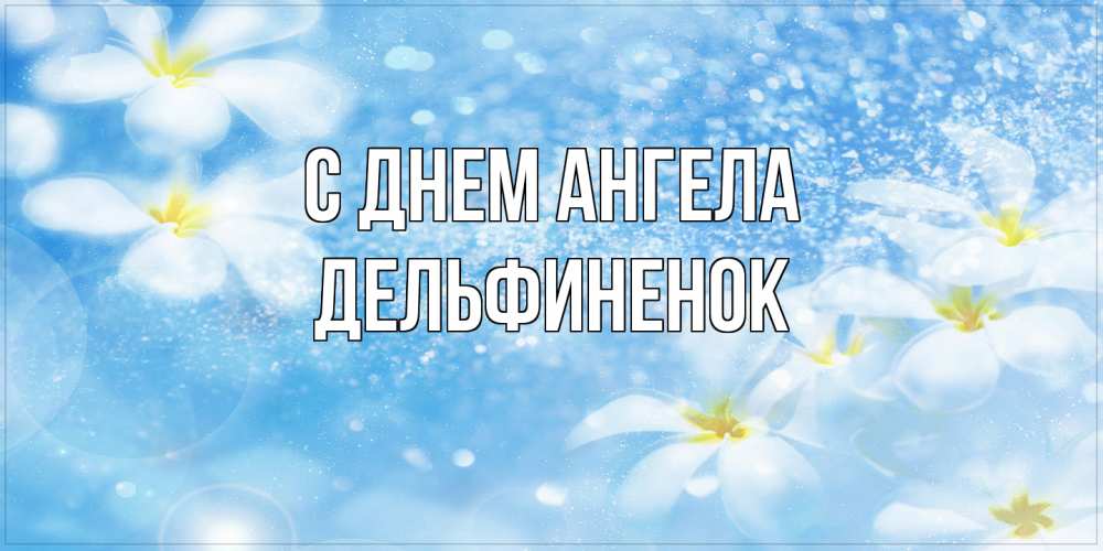 Открытка на каждый день с именем, дельфиненок С днем ангела именные открытки ко дню ангела бесплатно Прикольная открытка с пожеланием онлайн скачать бесплатно 