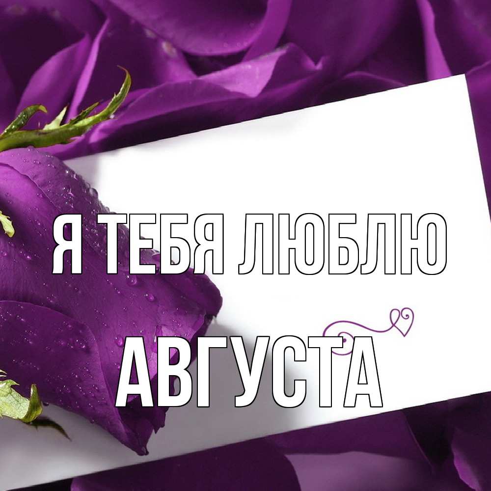 Открытка на каждый день с именем, Августа Я тебя люблю роза Прикольная открытка с пожеланием онлайн скачать бесплатно 