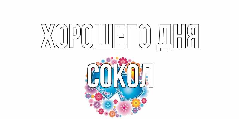 Открытка с именем, Сокол, Хорошего дня