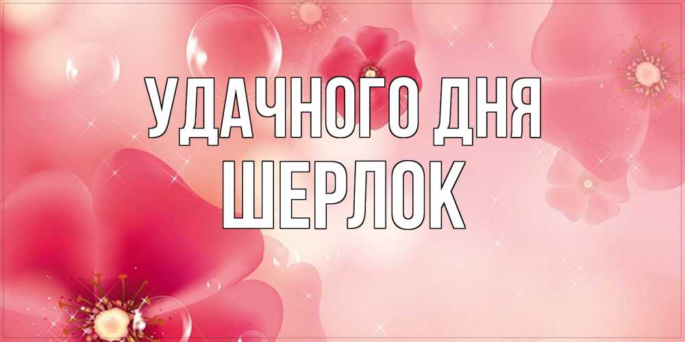 Открытка на каждый день с именем, Шерлок Удачного дня красивая открытка с цветами Прикольная открытка с пожеланием онлайн скачать бесплатно 