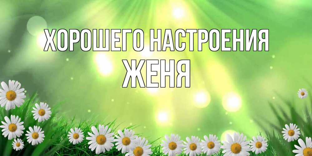 Открытка на каждый день с именем, Женя Хорошего настроения открытка с ромашками и солнечными лучами Прикольная открытка с пожеланием онлайн скачать бесплатно 
