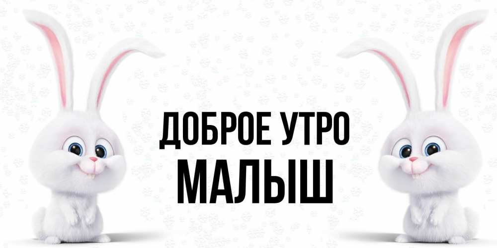 Открытка на каждый день с именем, Малыш Доброе утро кролики с длинными ушками Прикольная открытка с пожеланием онлайн скачать бесплатно 