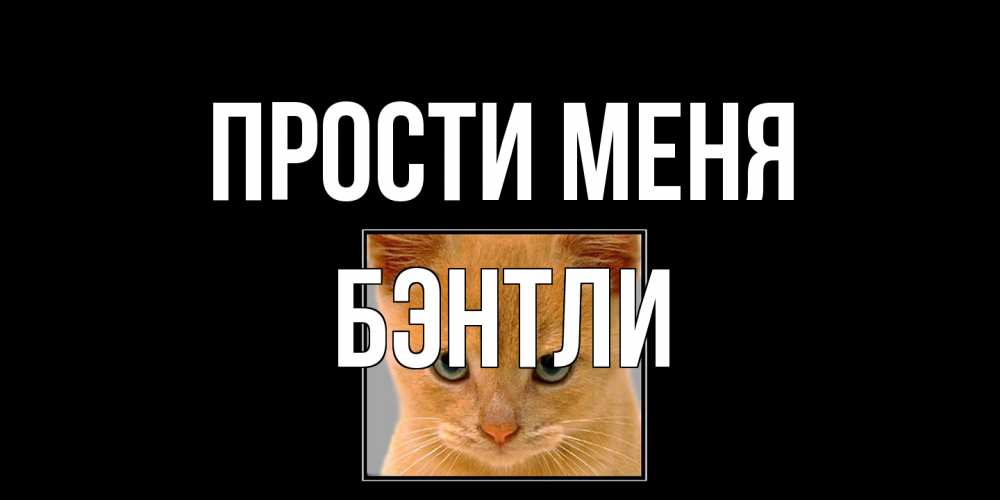Открытка на каждый день с именем, Бэнтли Прости меня рыжий грустный кот просит прощения Прикольная открытка с пожеланием онлайн скачать бесплатно 