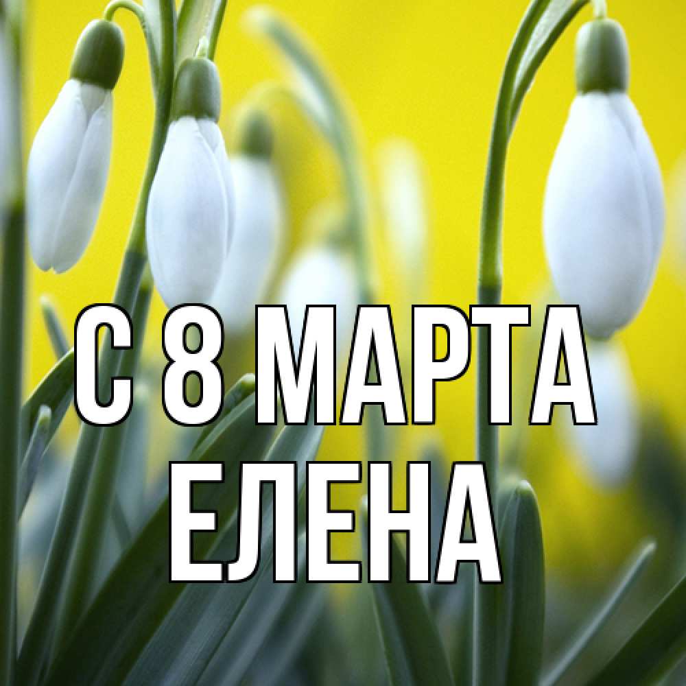 Открытка на каждый день с именем, Елена C 8 МАРТА весенние цветы Прикольная открытка с пожеланием онлайн скачать бесплатно 