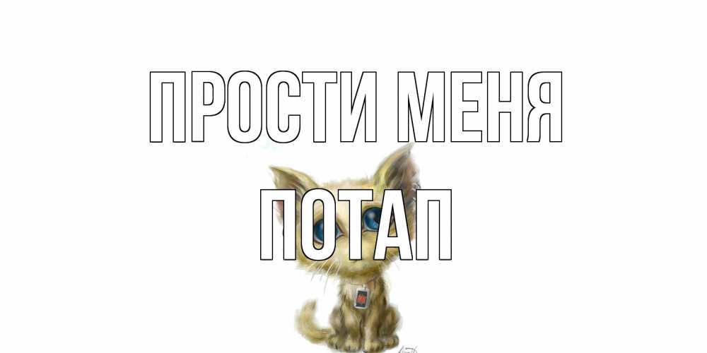 Открытка на каждый день с именем, Потап Прости меня прости меня открытка с котиком Прикольная открытка с пожеланием онлайн скачать бесплатно 