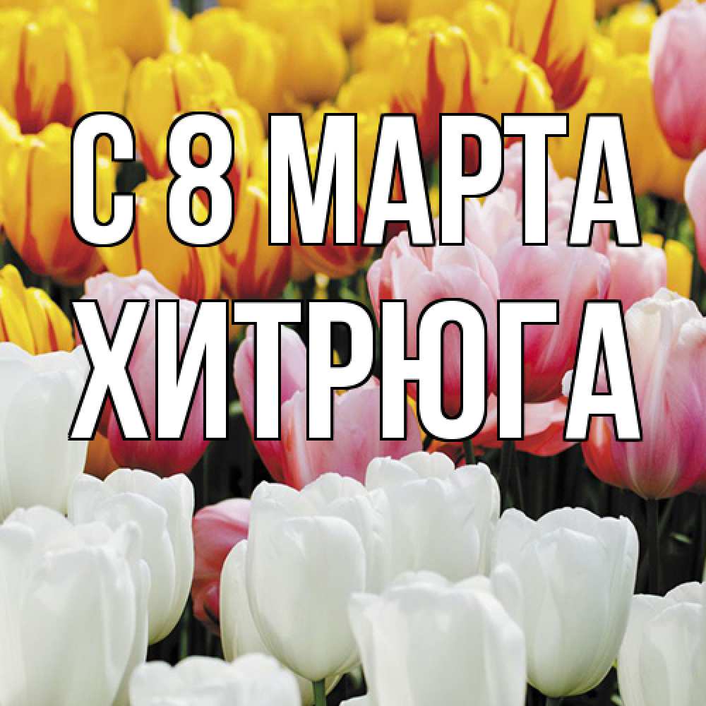 Открытка на каждый день с именем, хитрюга C 8 МАРТА разноцветные цветы Прикольная открытка с пожеланием онлайн скачать бесплатно 