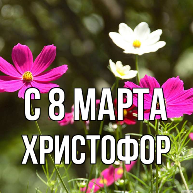 Картинка C 8 МАРТА, Христофор