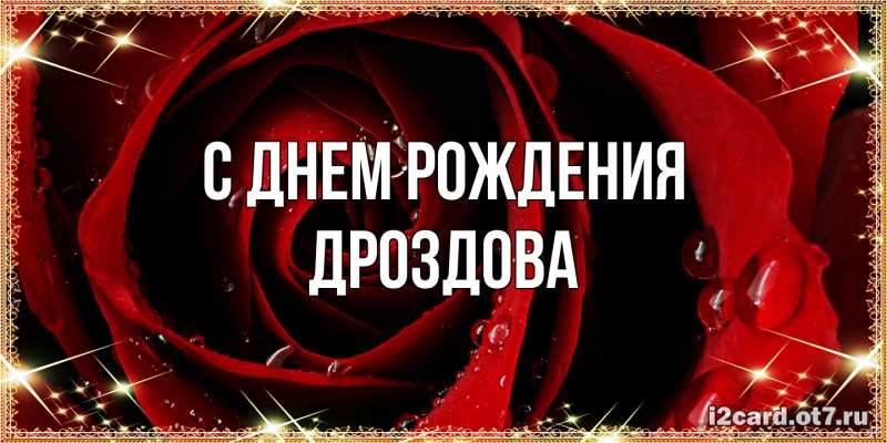 Картинка С днем рождения, Дроздова