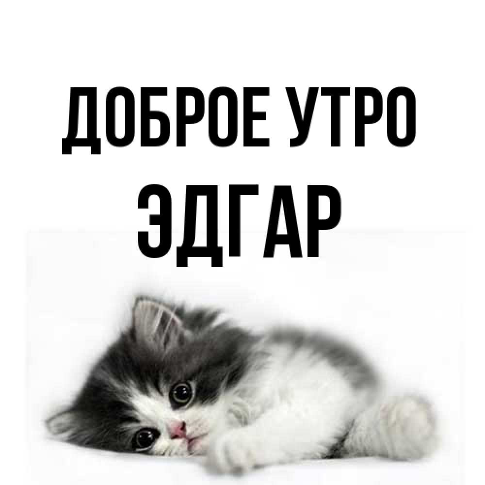 Открытка на каждый день с именем, Эдгар Доброе утро кот лапки Прикольная открытка с пожеланием онлайн скачать бесплатно 