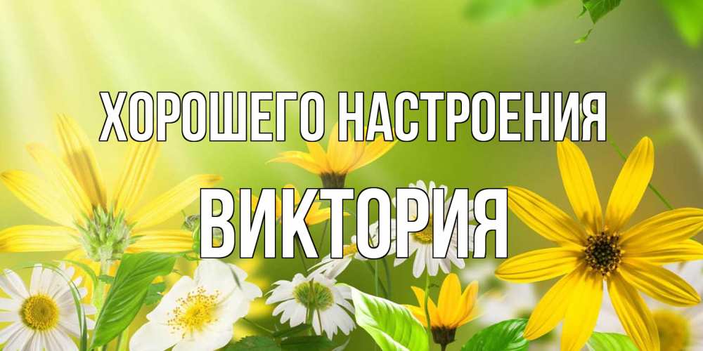 Открытка на каждый день с именем, Виктория Хорошего настроения цветы Прикольная открытка с пожеланием онлайн скачать бесплатно 