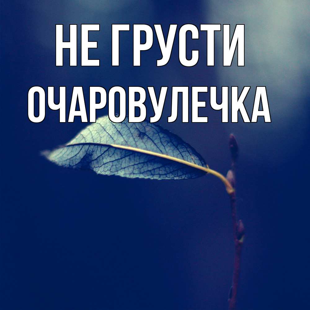 Открытка на каждый день с именем, Очаpовулечка Не грусти растение Прикольная открытка с пожеланием онлайн скачать бесплатно 