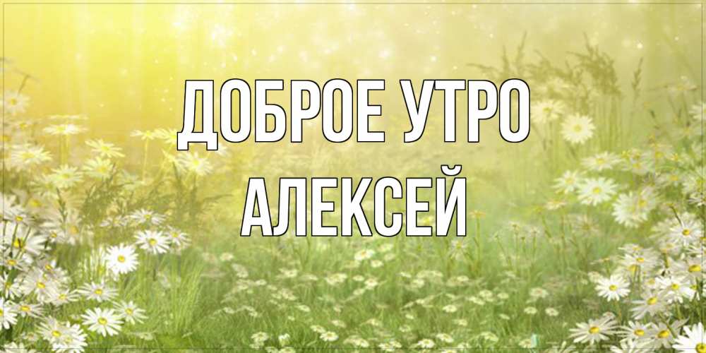 Открытка на каждый день с именем, Алексей Доброе утро доброе утро Прикольная открытка с пожеланием онлайн скачать бесплатно 