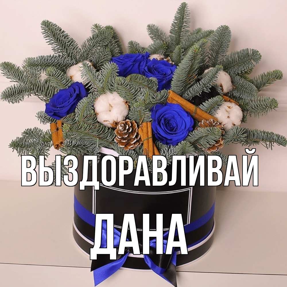 Открытка на каждый день с именем, Дана Выздоравливай короче кто то загрузил эти шишки Прикольная открытка с пожеланием онлайн скачать бесплатно 