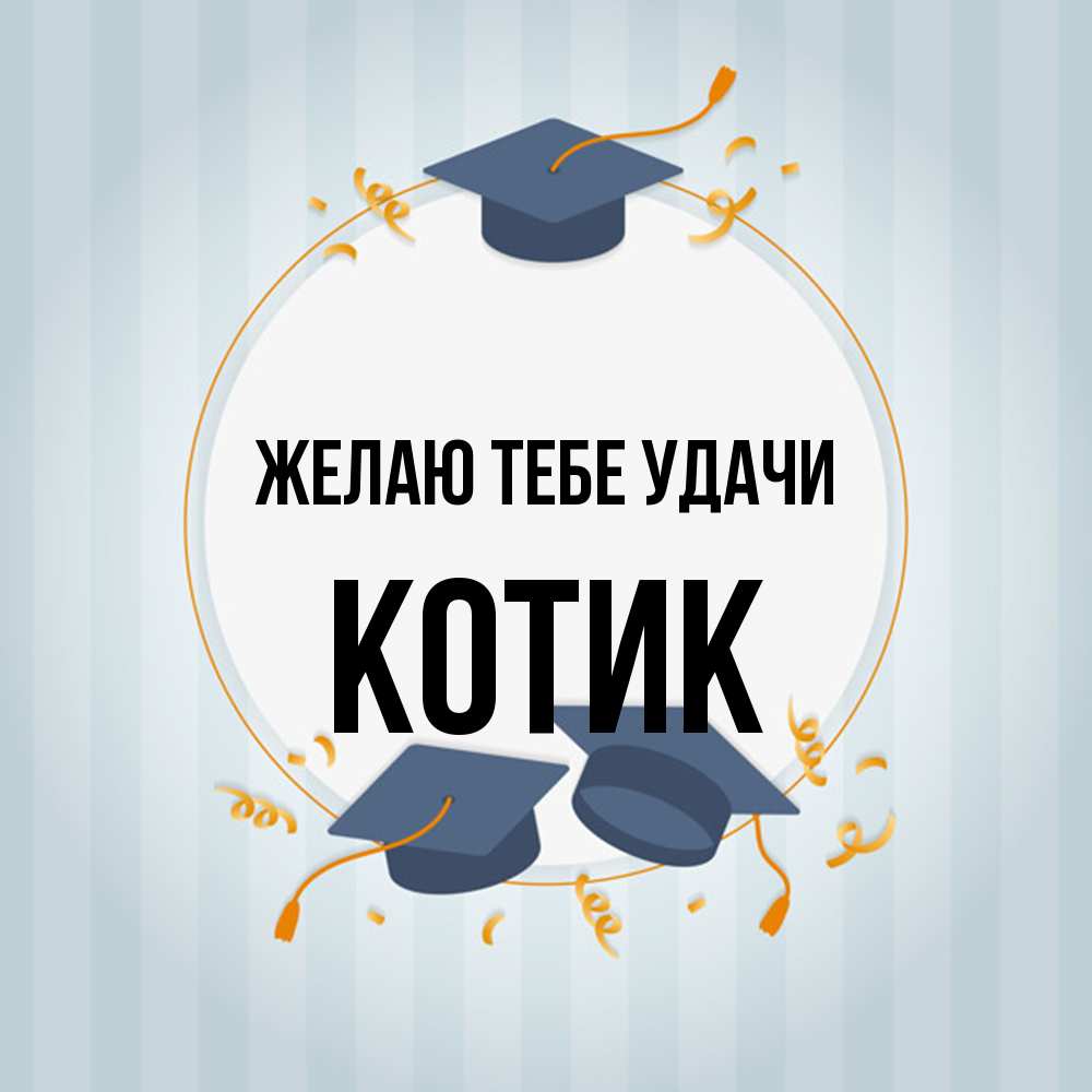 Открытка на каждый день с именем, Котик Желаю тебе удачи для студентов Прикольная открытка с пожеланием онлайн скачать бесплатно 