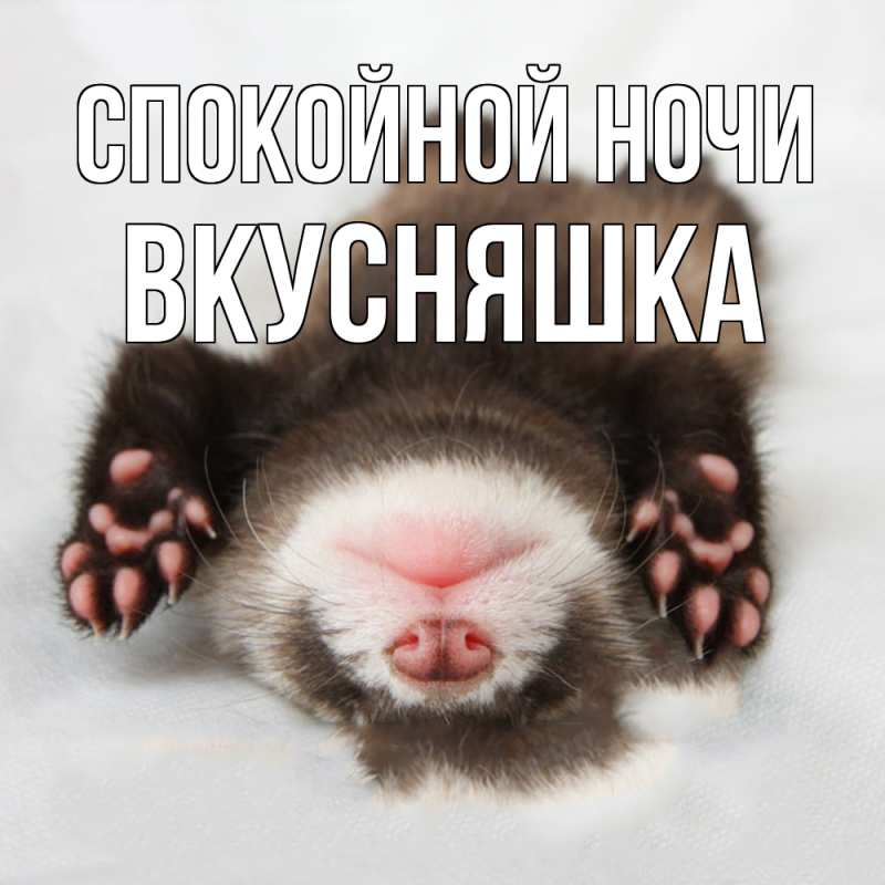 Картинка Спокойной ночи, Вкусняшка