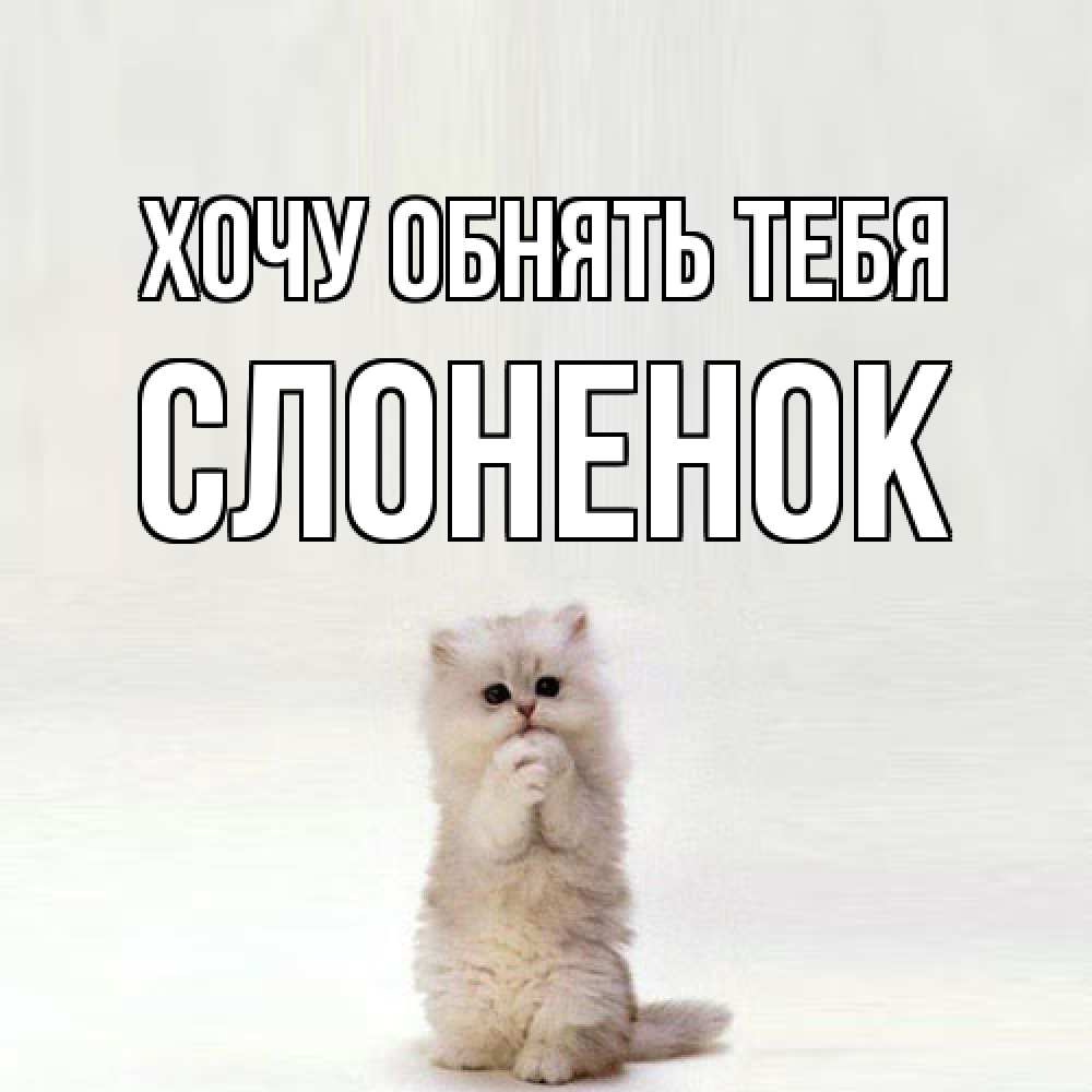 Открытка на каждый день с именем, Слоненок Хочу обнять тебя открытки с креативными подписями Прикольная открытка с пожеланием онлайн скачать бесплатно 
