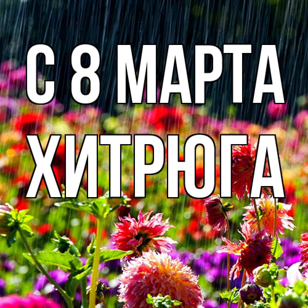 Открытка на каждый день с именем, хитрюга C 8 МАРТА цветы под дождиком к международному женскому дню Прикольная открытка с пожеланием онлайн скачать бесплатно 