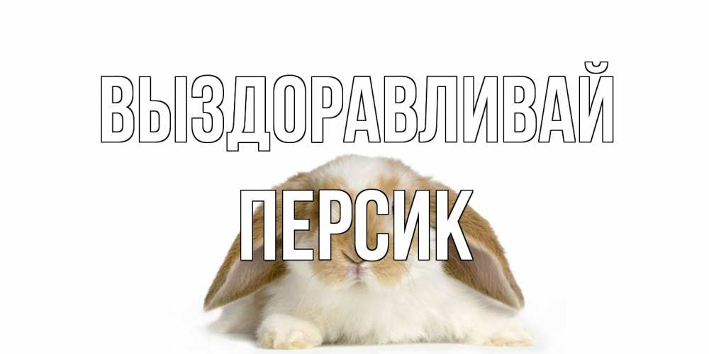 Открытка на каждый день с именем, Персик Выздоравливай вислоухий кролик белого и коричневого цвета Прикольная открытка с пожеланием онлайн скачать бесплатно 