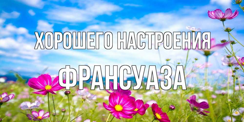 Открытка на каждый день с именем, Франсуаза Хорошего настроения поле цветов Прикольная открытка с пожеланием онлайн скачать бесплатно 